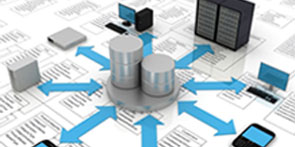 Master Data Management